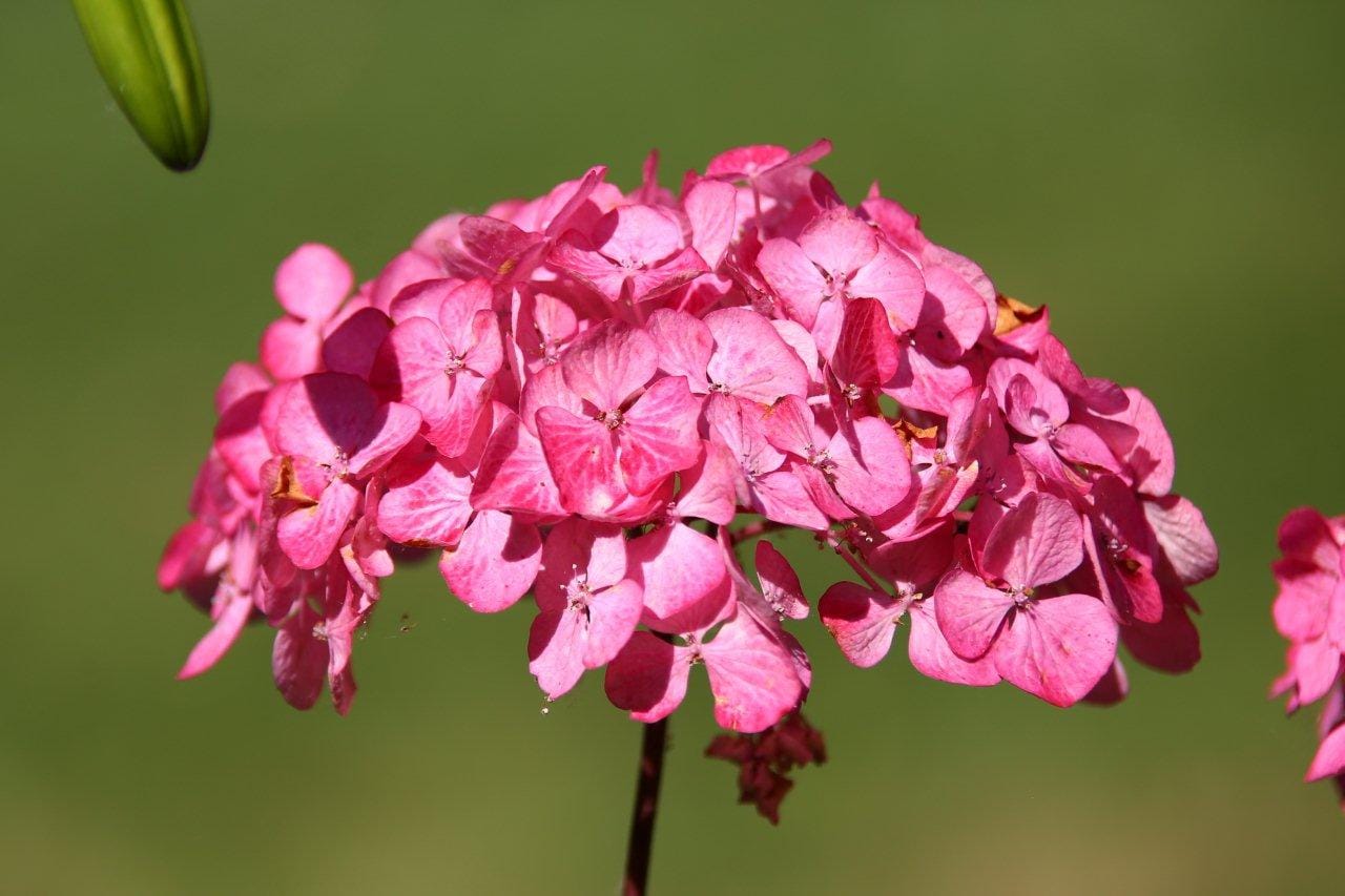 086