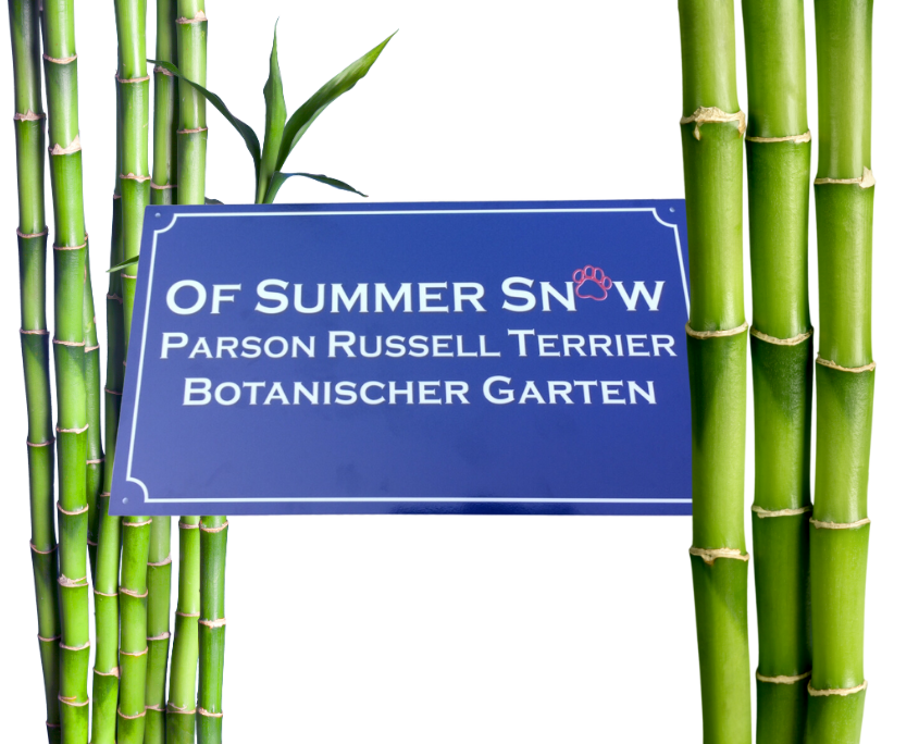 Botanischer Garten Sutz