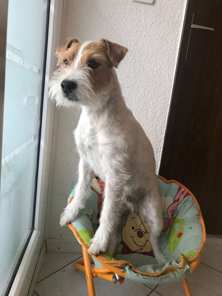 Louis wartet auf Frivole