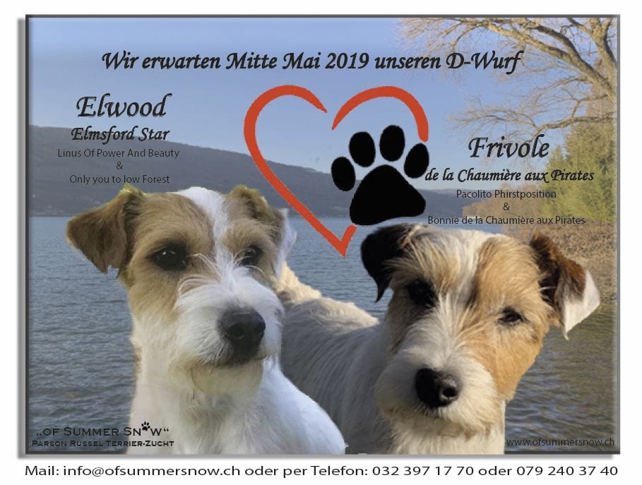 2019 Deckmeldung