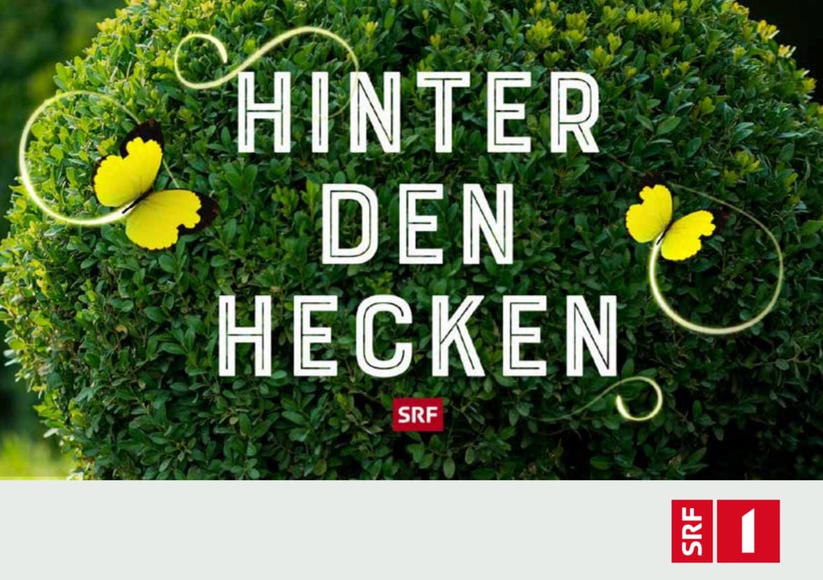 HInter den Hecken
