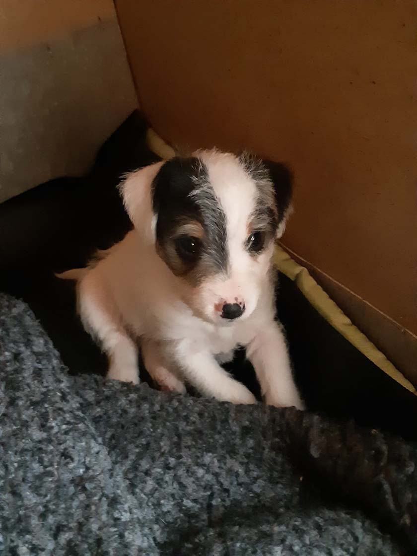Eddie- 7.Woche