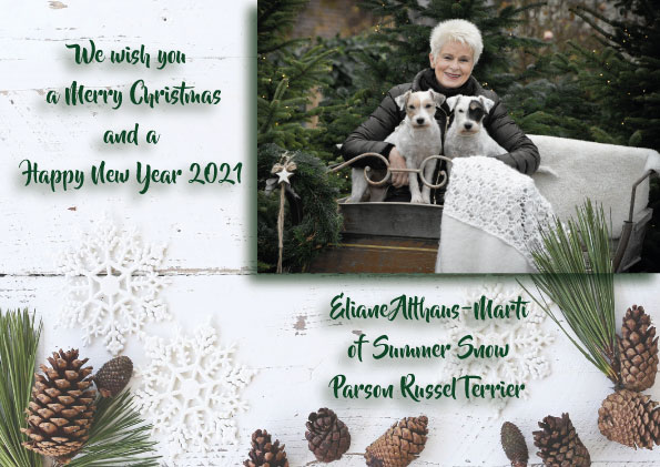 1-Weihnachtskarte_Facebook_1