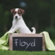 Fotoshooting - Floyd