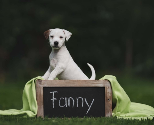 Fotoshooting - Fanny