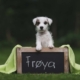 Fotoshooting - Froya