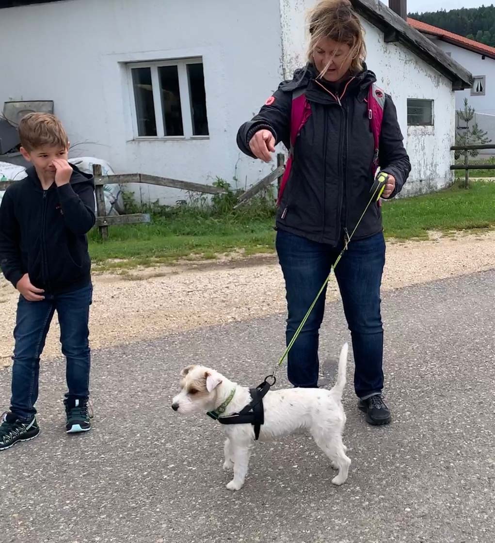 040721 Hundetreffen E-Wurf