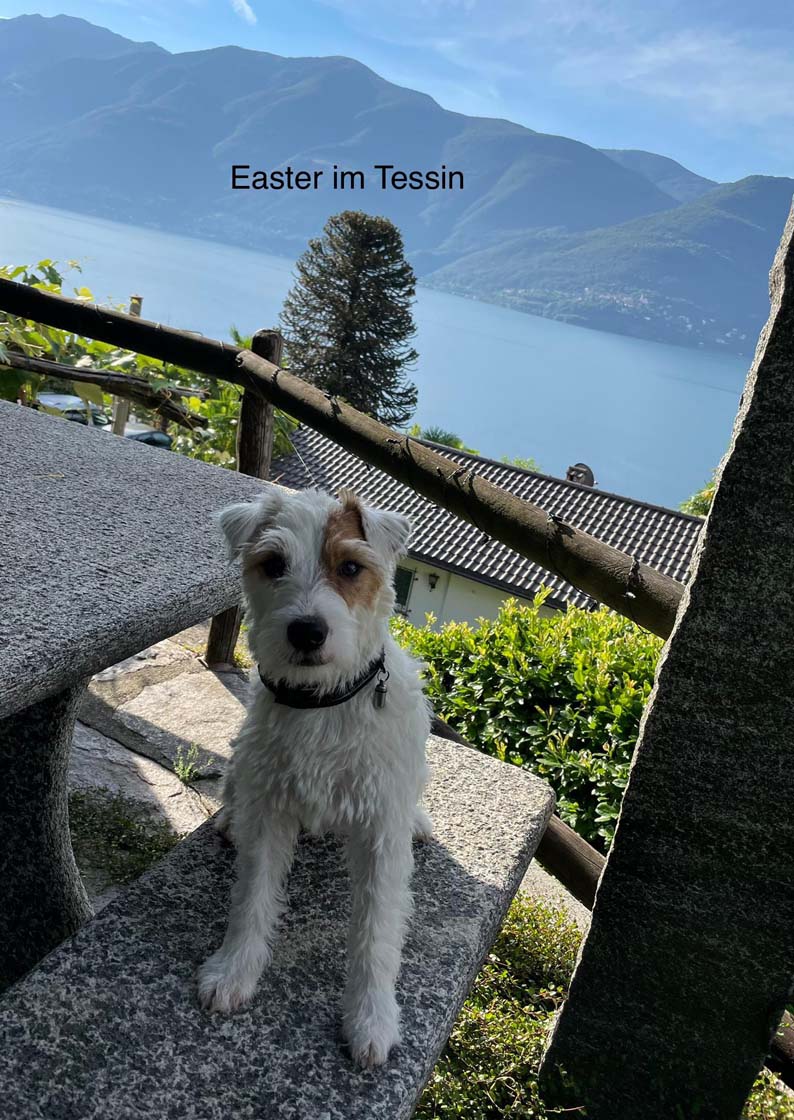 040721 Hundetreffen E-Wurf - Easter
