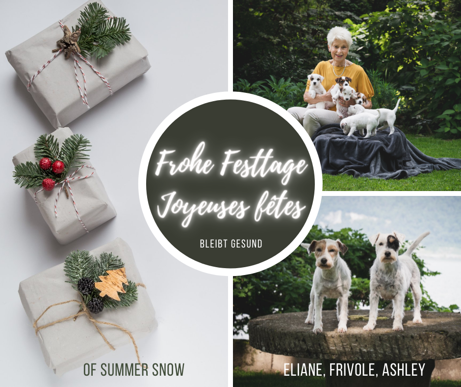 Of Summer Snow - Festtage