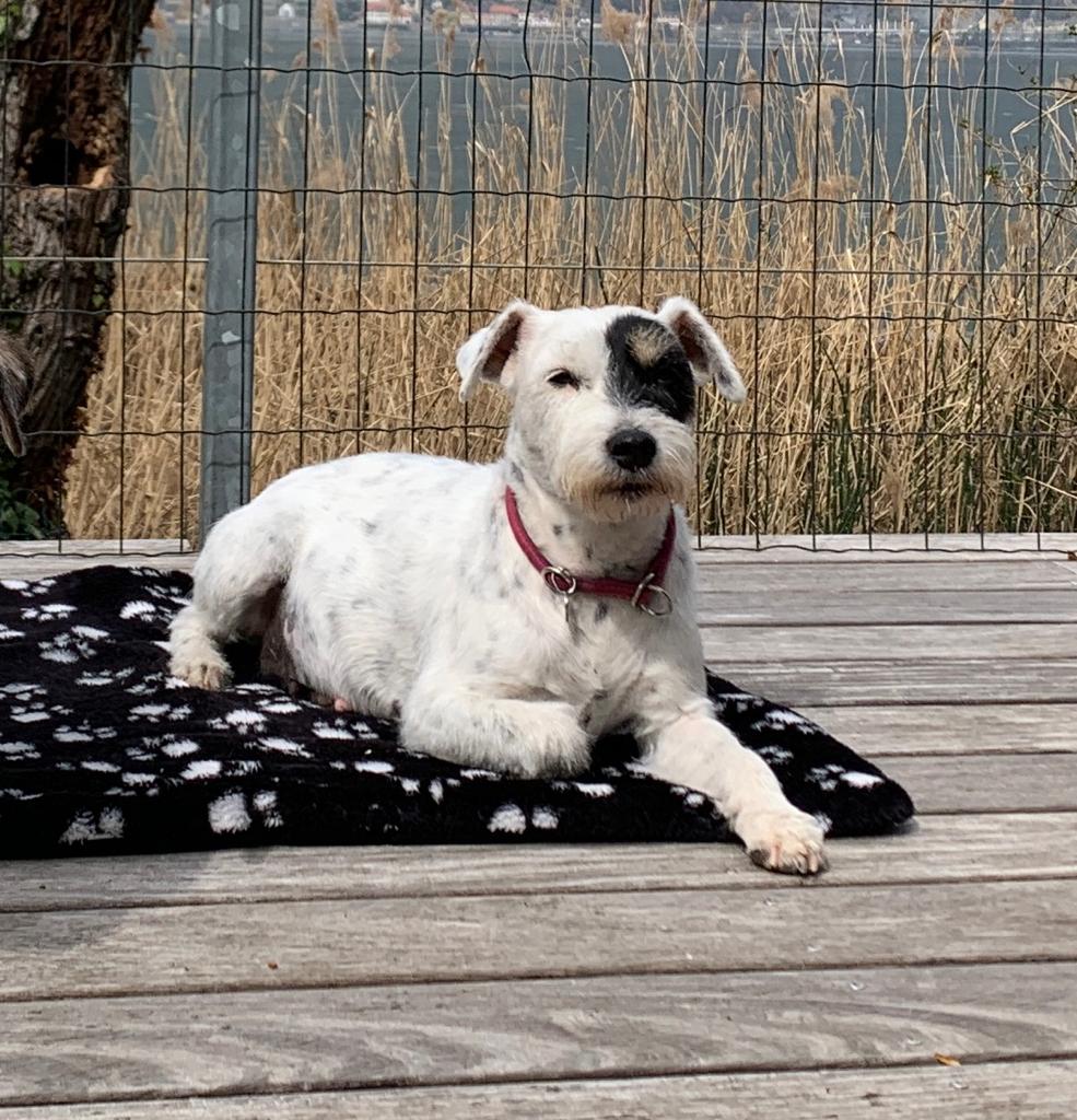 Ashley genießt die Sonne