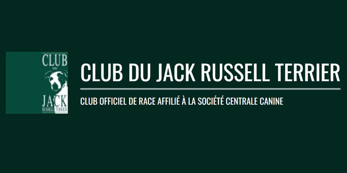 Club Du Jack Russell Terrier Fr