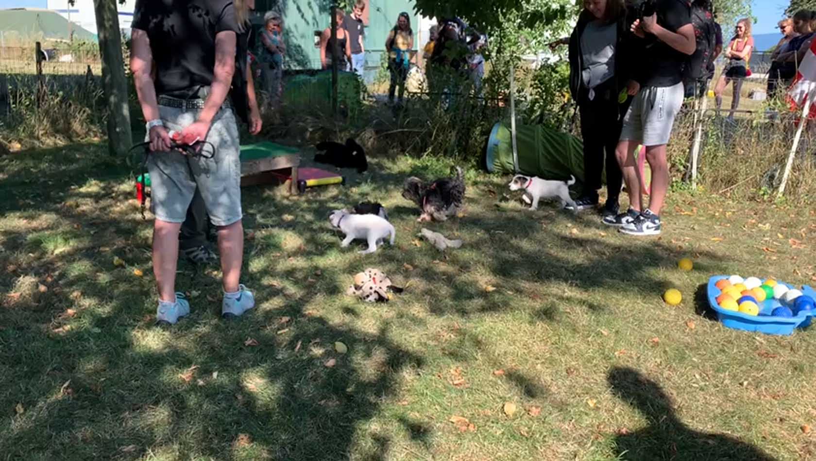 Avance - Hundeausbildung Murten