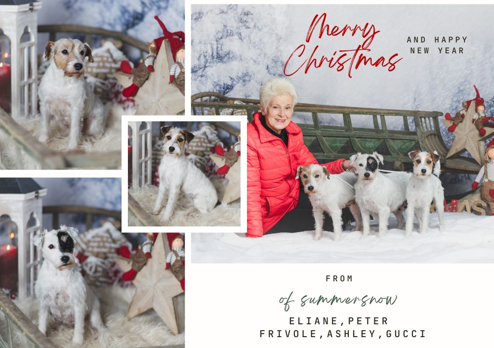 2022 Weihnachtskarte Of SummerSnow Quer