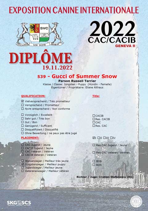 Diplome - Internationale Hundeausstellung Genf II - CACCACIB 19.11.2022