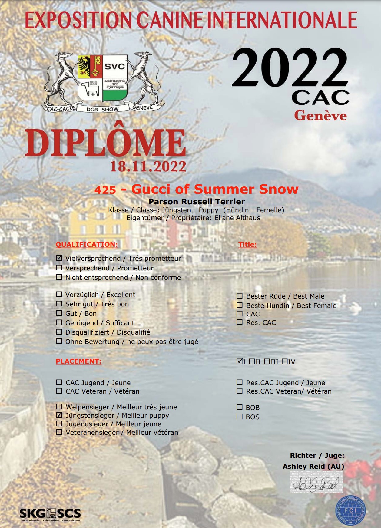 Nationale Hundeausstellung Genf -  of Summersnow
