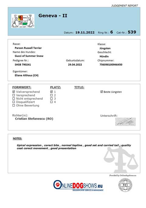 Judgement Report - Internationale Hundeausstellung Genf II - CACCACIB 19.11.2022