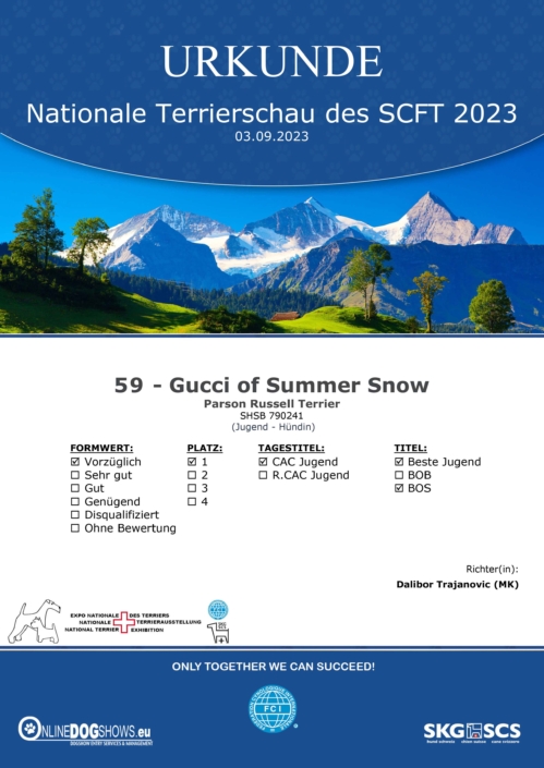 of Summer Snow - Urkunde Nationale Terrierschau Eiken