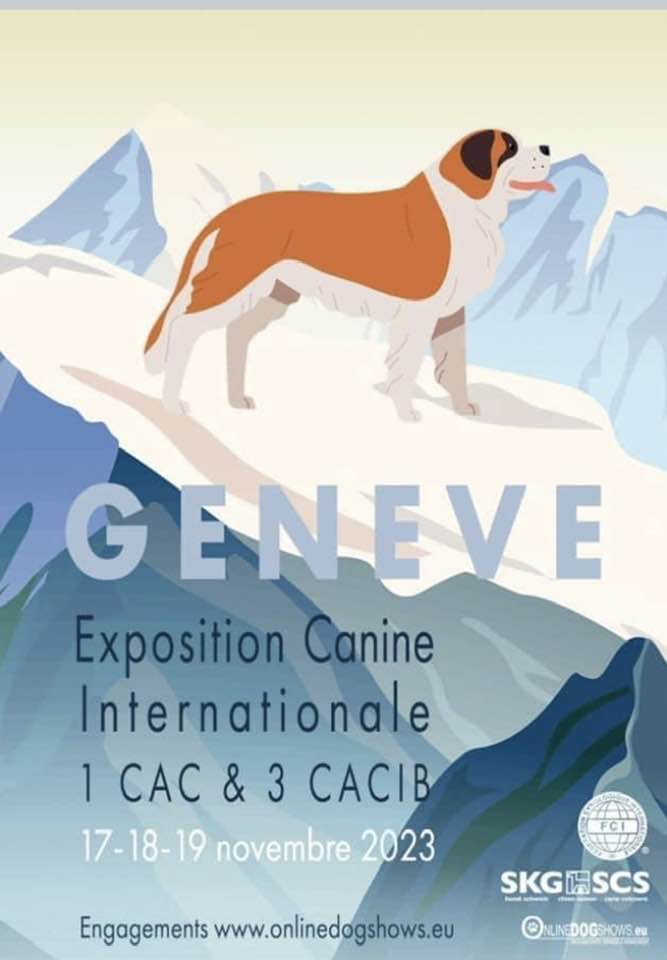 Geneve Exposition Canice Internationale 17 19.11.23