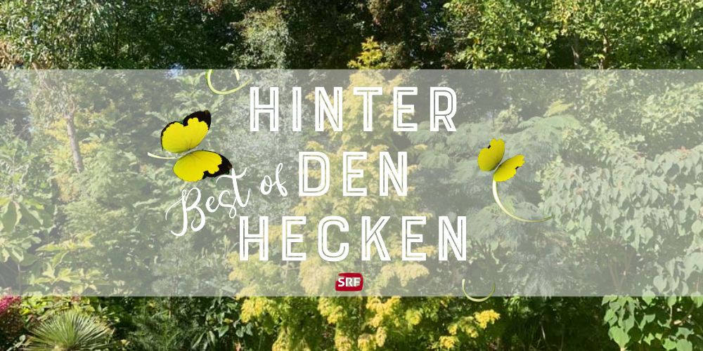 HInter den Hecken