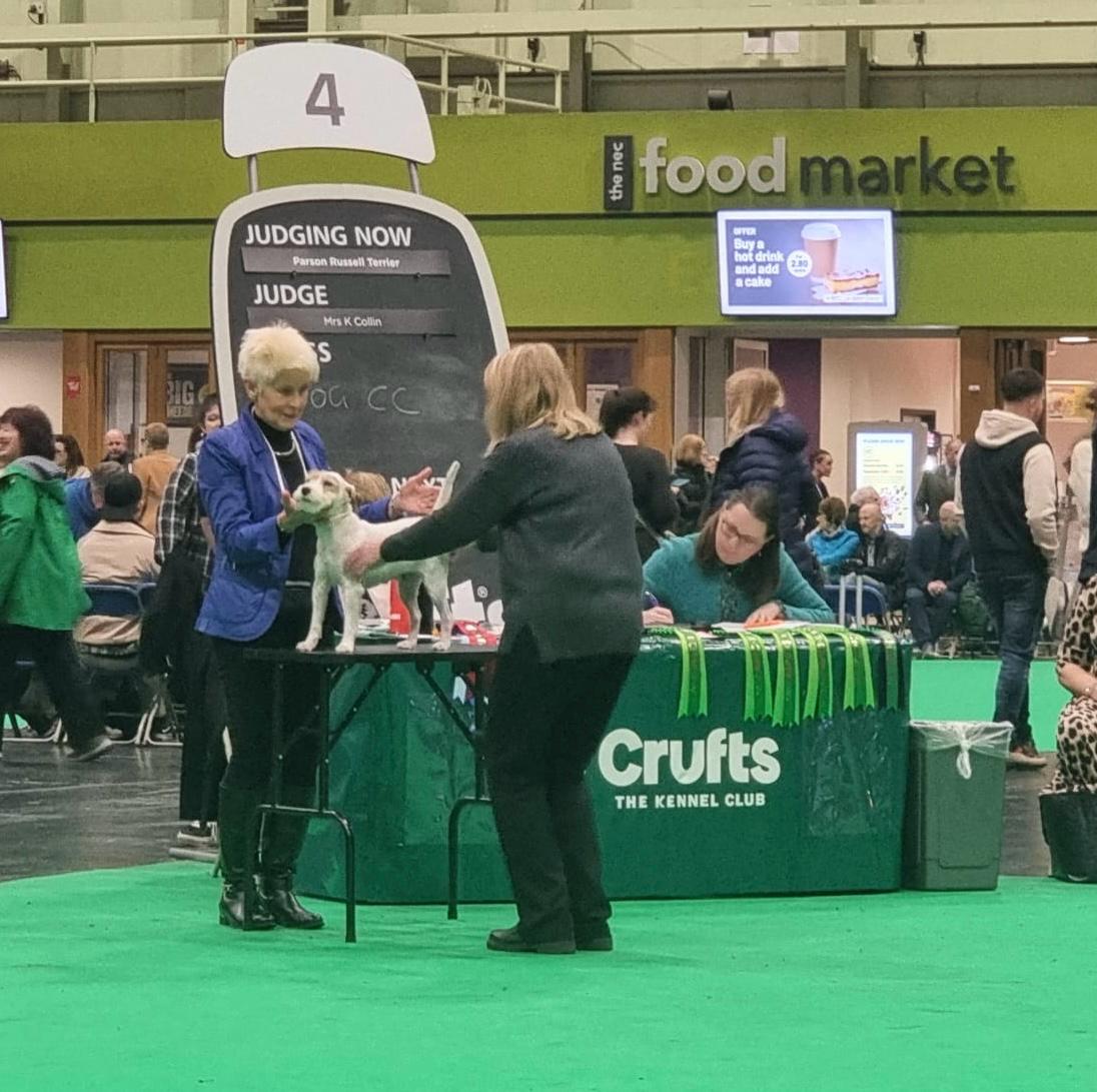 Crufts '24 - Frivole 