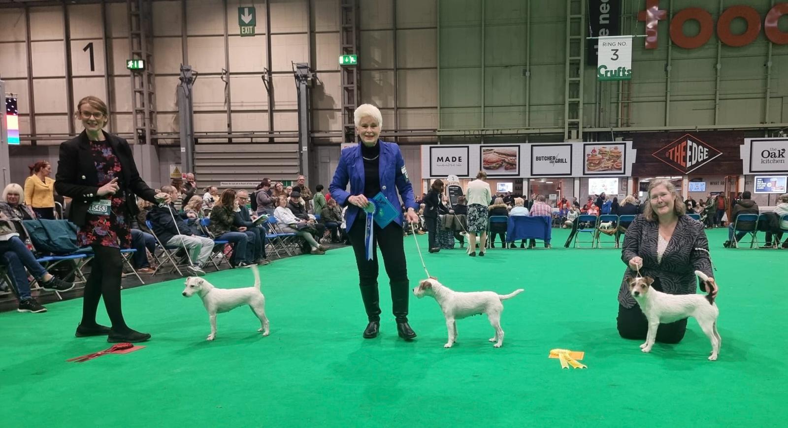 Crufts '24 - Frivole mit Eliane Althaus - of Summer Snow