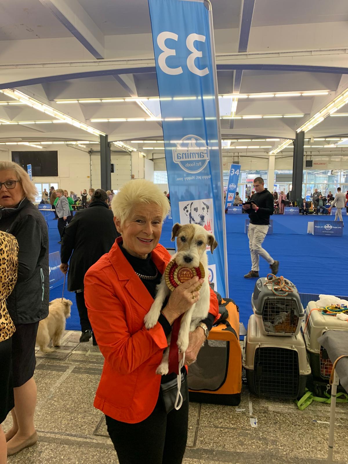 Zagreb, Spring Dog Show, 24.04.2024, Frivole Exc.1 FCI CACIB V, Veteran Best Of Breed, Main Rin