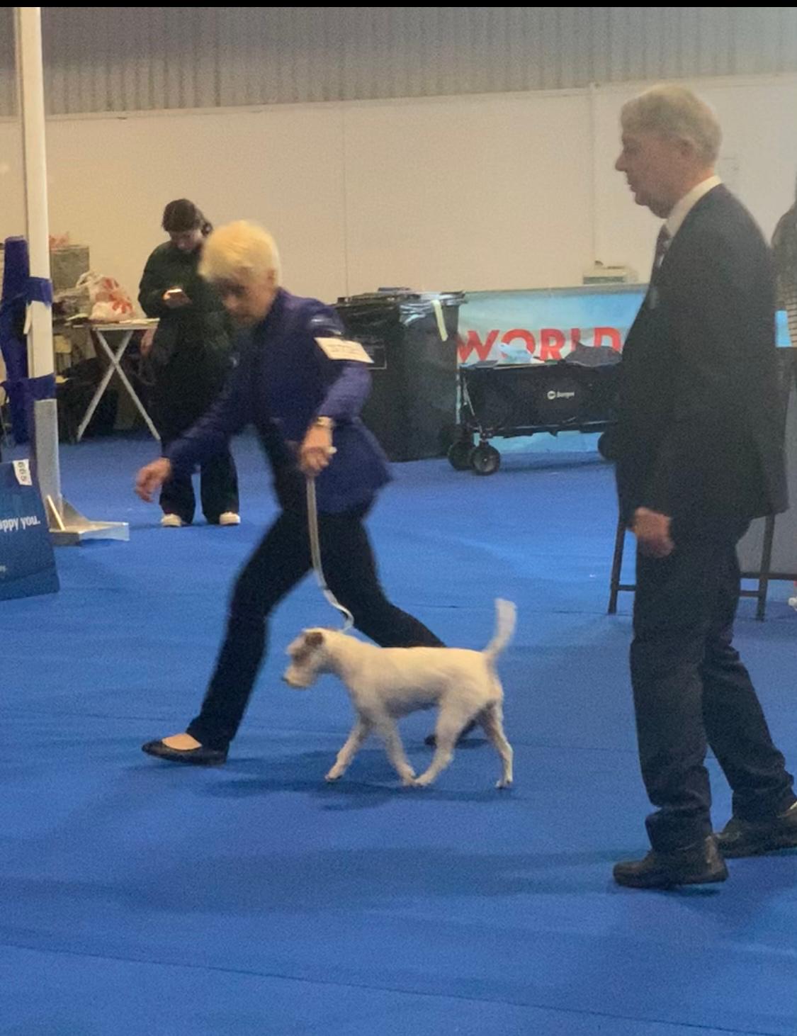 Zagreb, World Dog Show 26.04.24 Frovole Exc.2