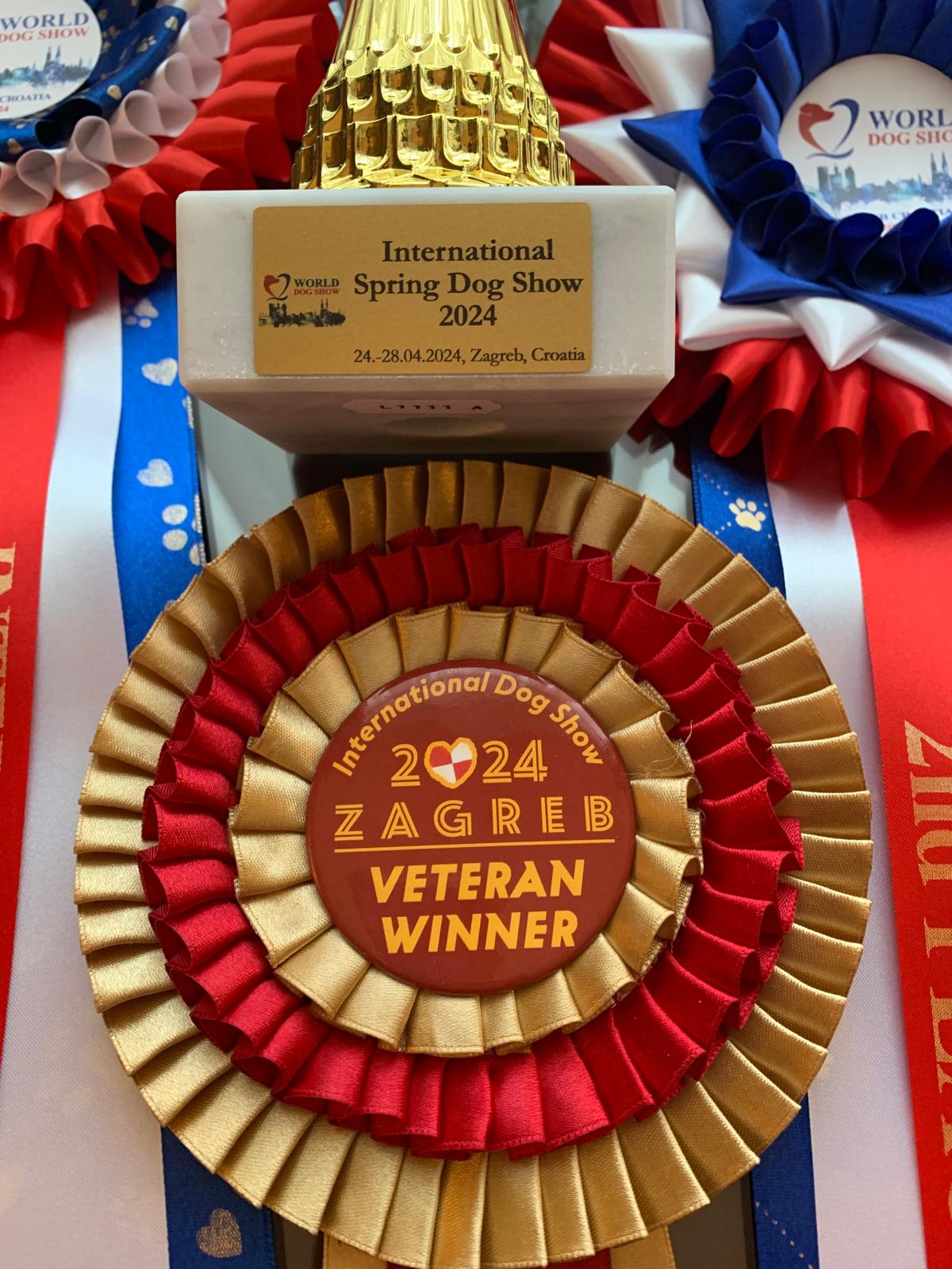 Zagreb, World Dog Show 26.04.24 Frovole Exc.2 Auszeichnung