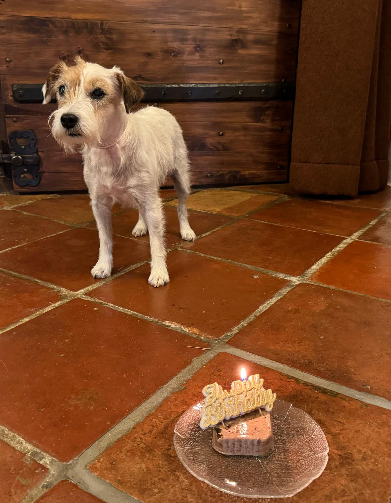Wir feiern den 13. Geburtstag - Frivole de la Chaumière aux Pirates
