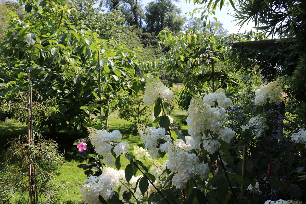 Botanischer Garten Bielersee (2)