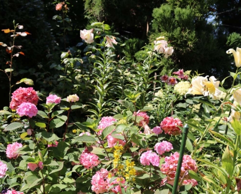 Botanischer Garten Bielersee (3)