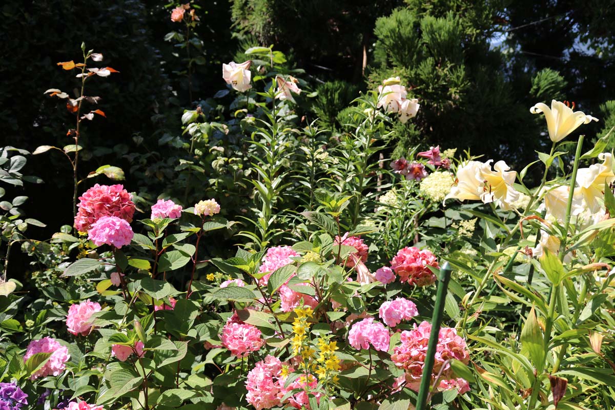 Botanischer Garten Bielersee (3)