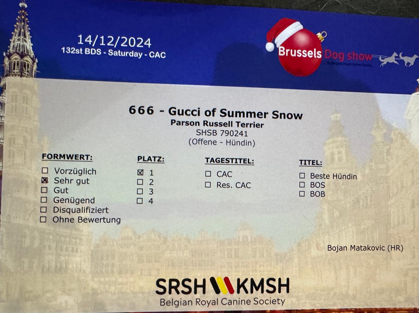 Gucci Of Summer Snow Brüssel Beurteilung 141224