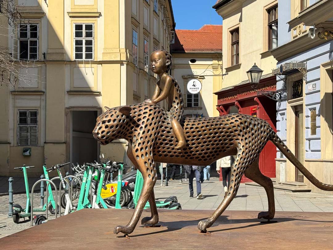 Brno 2025 (6)