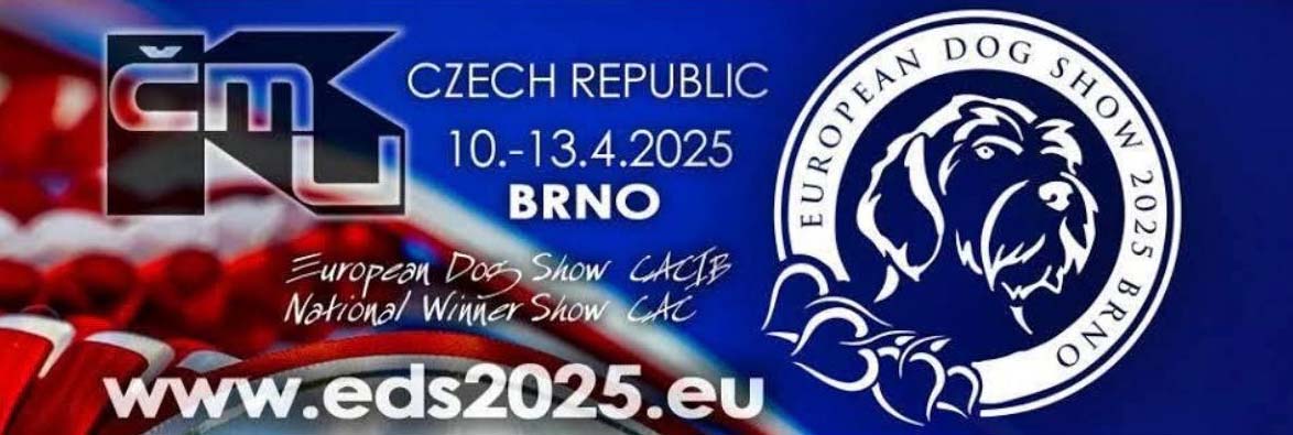 EDS2025 - logo