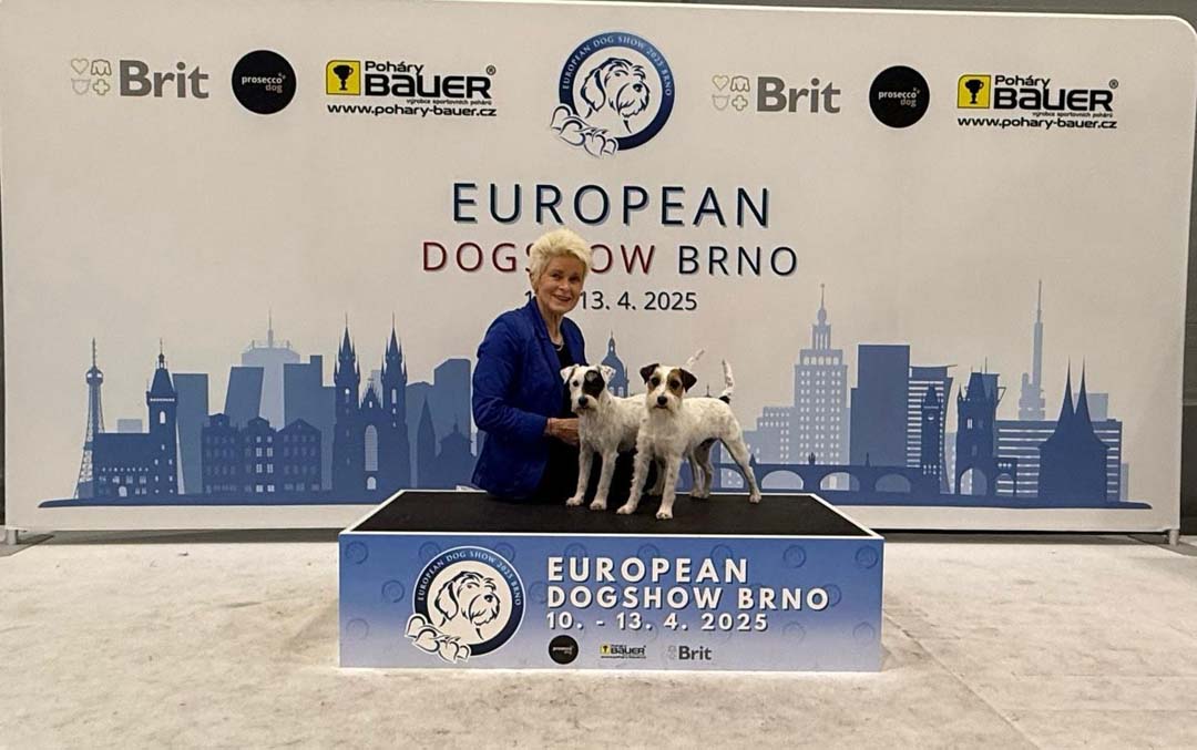 European Dog Show (7)