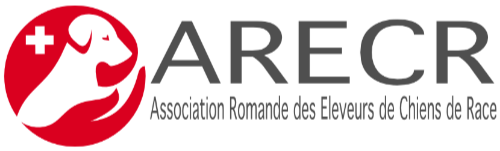 LOGO_HOR_SiteTop