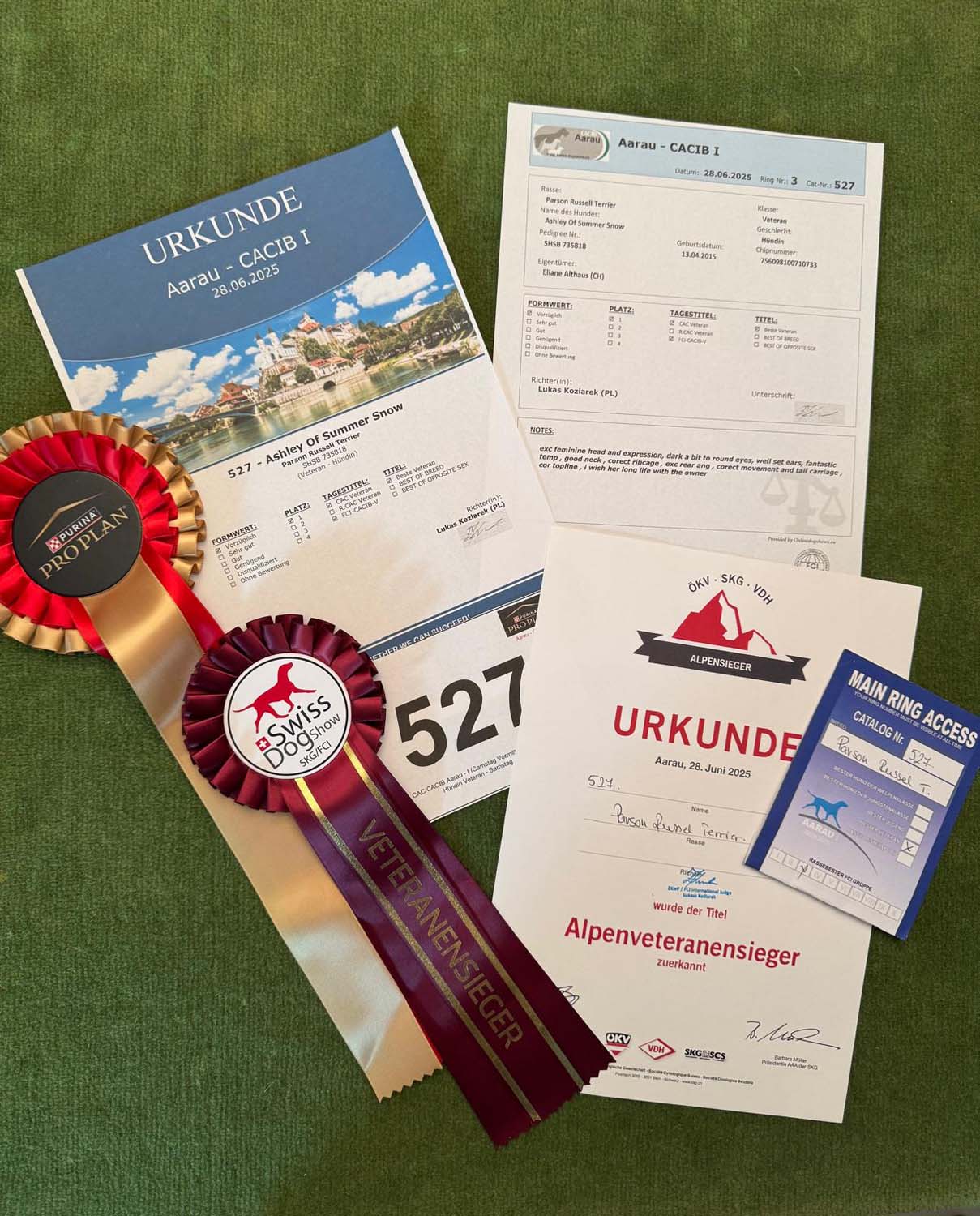 Hundeausstellung Aarau 25 (9)