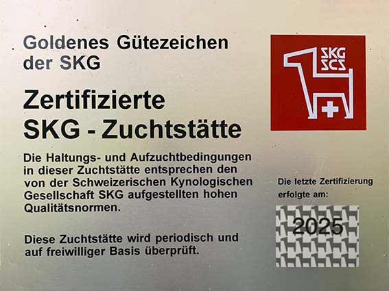 Goldenes Gütezeichen 2025