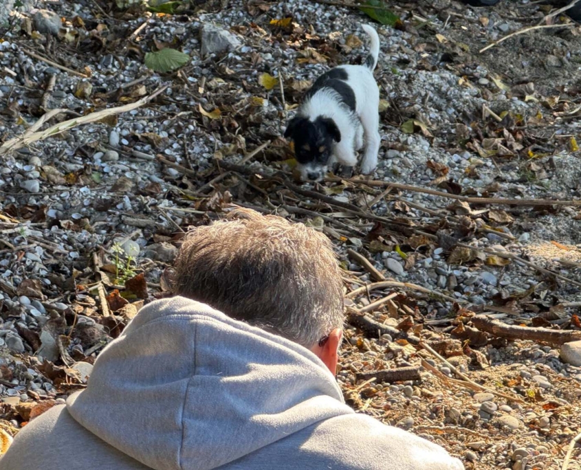 Of Summer Snow Fotoshooting 8. Woche (1)