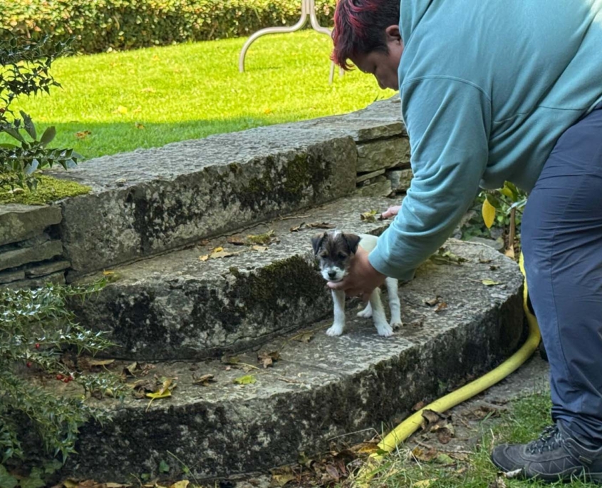 Of Summer Snow Fotoshooting 8. Woche (10)