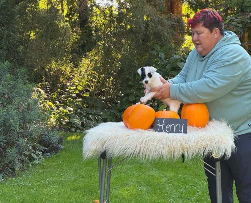 Of Summer Snow Fotoshooting 8. Woche (2)