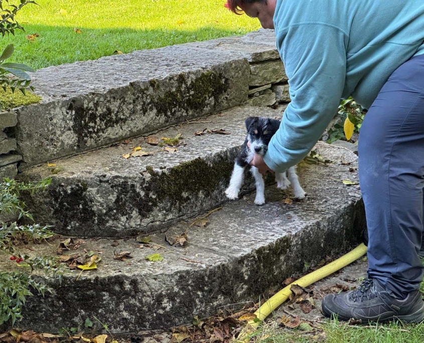 Of Summer Snow Fotoshooting 8. Woche (4)