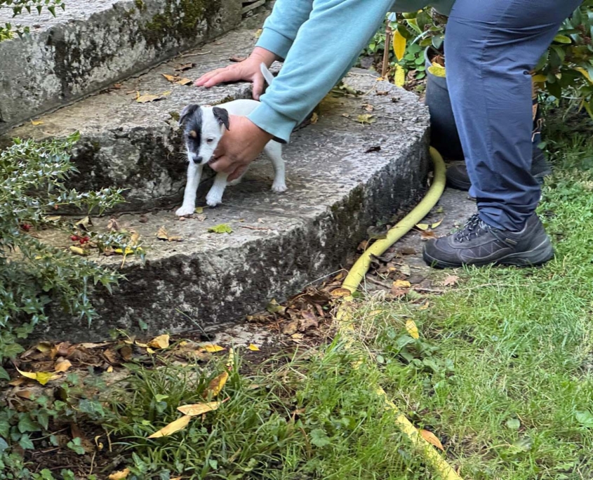 Of Summer Snow Fotoshooting 8. Woche (7)