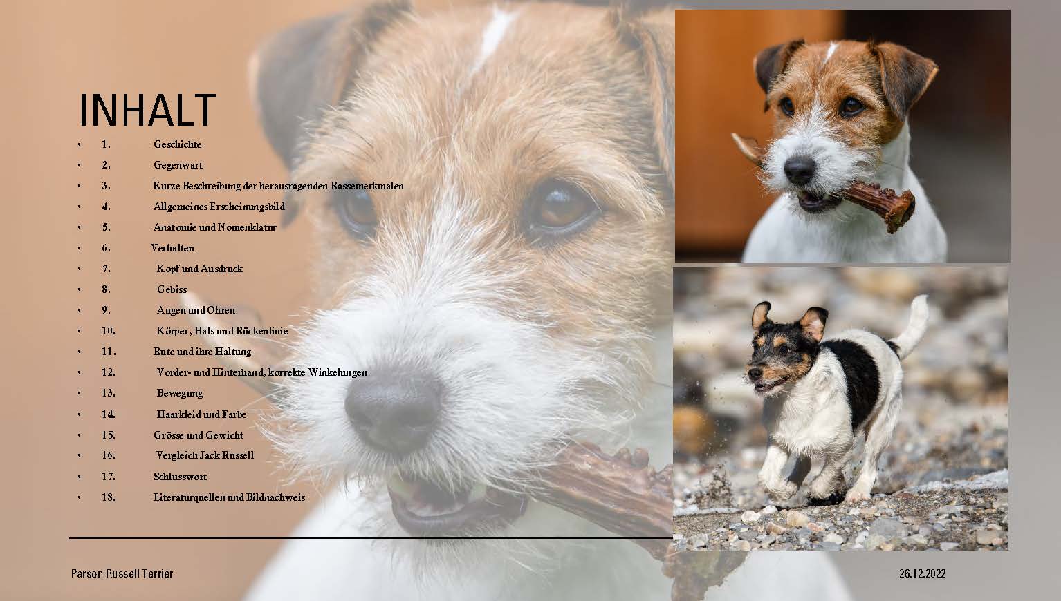Parson Russell Terrier FCI Standard Nr. 339 Yvonne Jaussi Seite 03