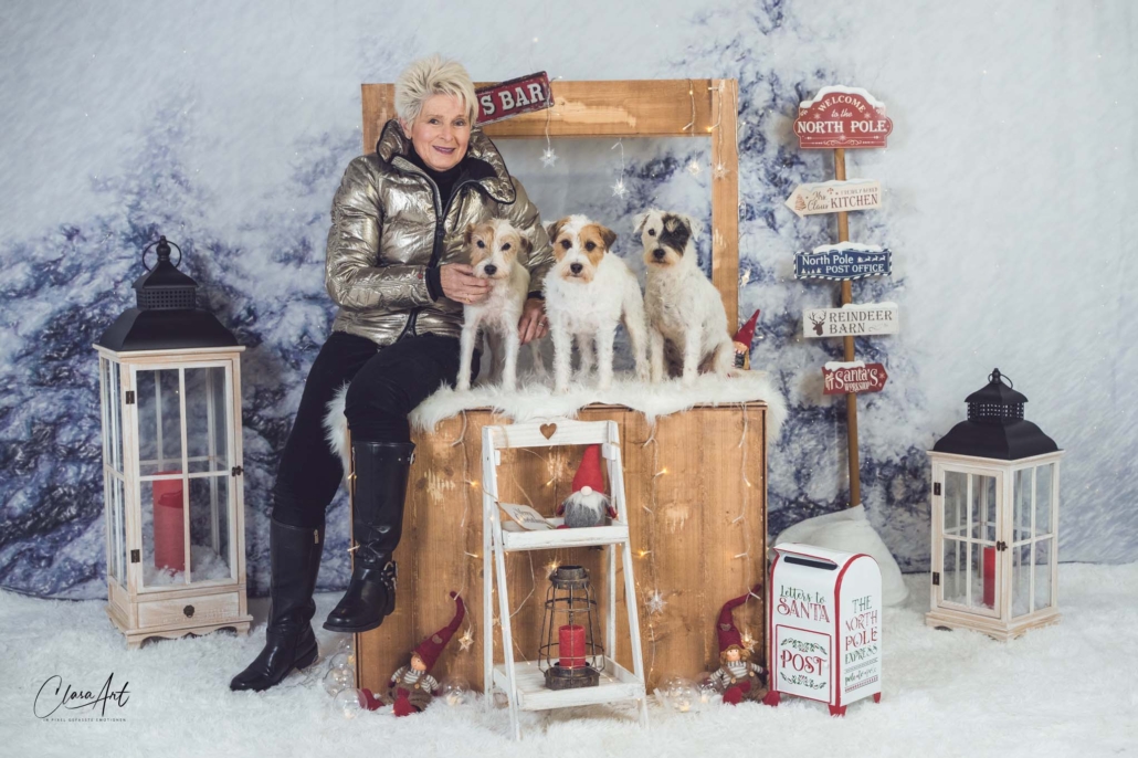 Of Summer Snow Wünscht Allen Frohes Fest (1)