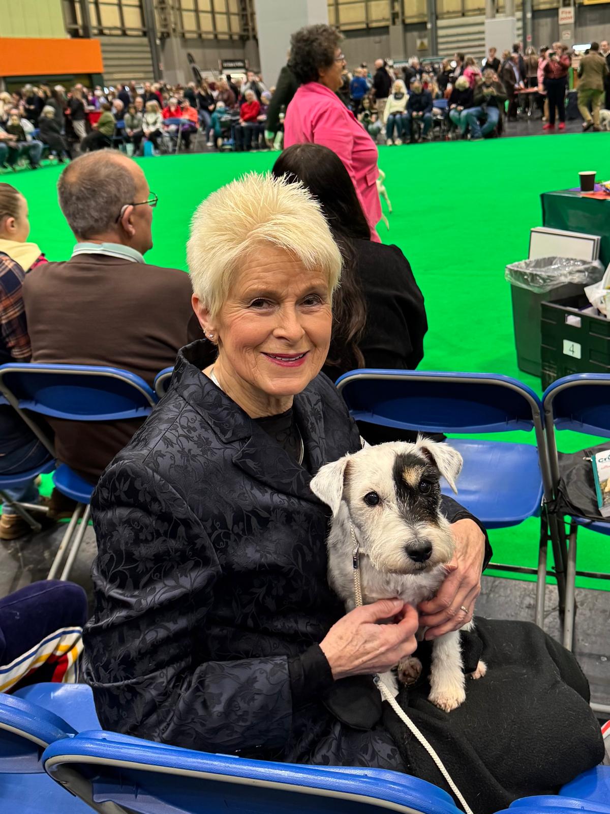 Ashley Of Summersnow Crufts 2026 (3)