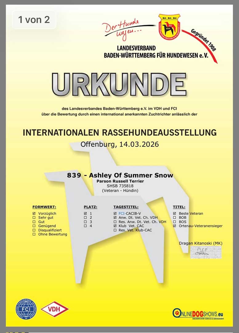 Gucci In Offenburg März 2026 (10)