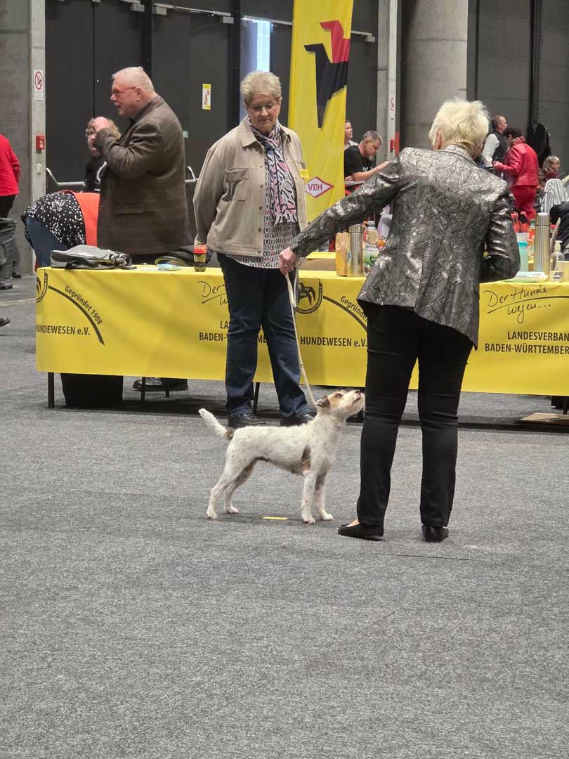 Gucci In Offenburg März 2026 (2)