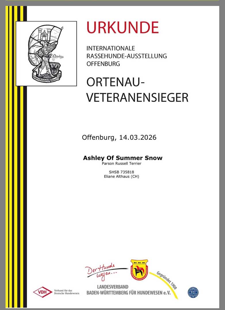 Gucci In Offenburg März 2026 (9)